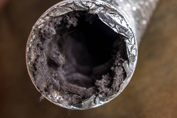 Best Residential Air Duct Cleaning  in Ellwood City, PA